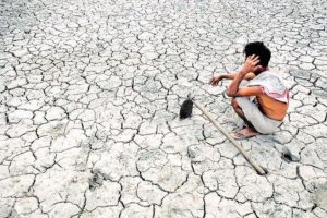 drought - farmer suicide