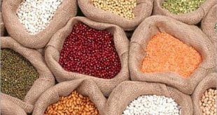 Odisha Traders Stop Importing Pulses, Wheat Products