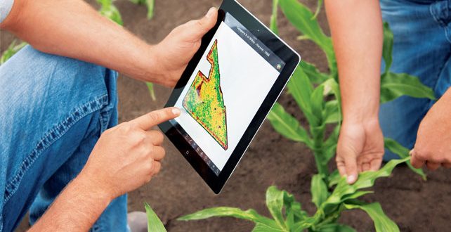 Scientists Develop Mobile App For Farmers