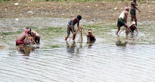 132 Cases Against Prawn Cultivators For Land Encroachment In Odisha