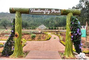 Butterfly Park opens at Daringibadi