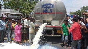 Odisha Milk Farmers Seek Inclusion of Milk Products In MDM Scheme