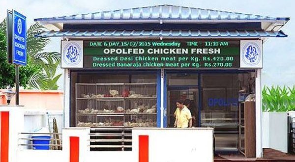 Chicken Fresh Outlet