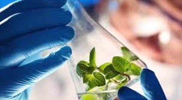 Odisha Biotechnology Policy 2016
