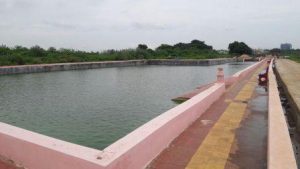 Work in eight out of 14 water bodies completed in Bhubaneswar