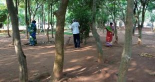 Sulabh International on job to keep five major parks clean in Bhubaneswar