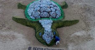 Biggest sand turtle with plastic bottles for World Environment Day