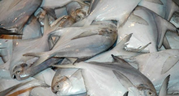 Cancer causing chemical ‘formalin’ found in fishes in Odisha