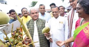 Coconut Development Board celebrates World Coconut Day