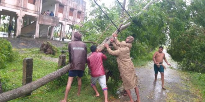 Cyclone Bulbul updates: Heavy rainfall in coastal districts, trees uprooted