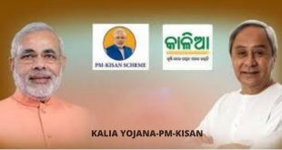 KALIA Yojana-PM-KISAN merger; know details