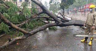 Cyclone Amphan damage in Odisha
