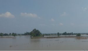 Odisha flood