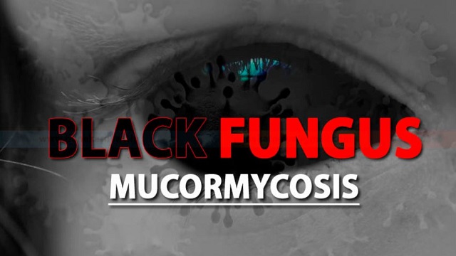 Black Fungus cases in Odisha