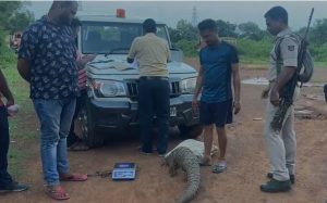 Pangolin rescued in Bhubaneswar