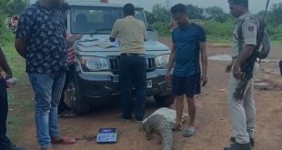 Pangolin rescued in Bhubaneswar