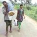 Clean Chit To Hospital Over Tribal Man Carrying Wife's Body On Shoulders