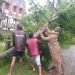 Cyclone Bulbul updates: Heavy rainfall in coastal districts, trees uprooted