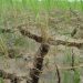 Land degradation
