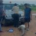 Pangolin rescued in Bhubaneswar