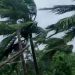 cyclonic storm Yaas makes landfall along Odisha coast